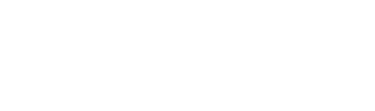 Mesa Boogie / Engineering Logo